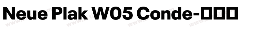 Neue Plak W05 Conde字体转换